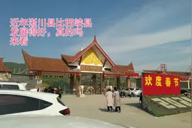 近年淅川县比西峡县发展得好，淅川动物园有大老虎看，西峡不中了视频封面