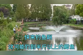 苏州一条不起眼的小河，钓鱼人可真不少，在这里钓到的鱼头真不小视频封面