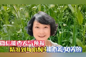微信能查天气预报，精准至每小时，能查近40天的天气，太实用方便