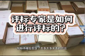 评标专家进入评标室后，是怎么进行评标的？