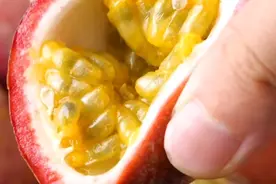 百香果有哪些功效作用?吃百香果有哪些好处?