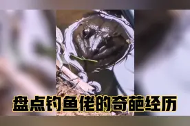 钓鱼佬的奇葩经历：钓到鳄鱼、野猪、奥特曼就算了，还钓到男人？视频封面