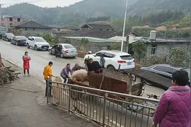 上个视频都问什么是谢天地，就是请法师做法保佑一家平安的意思！视频封面