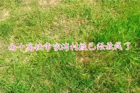 西安十堰高铁线路已经在常家湾村，南江村的土地里放线了。视频封面