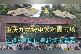 重庆九龙坡电大对面市场，每逢5号和10号赶场，菜品丰富价格便宜视频封面
