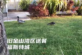 今天是美国时间星期六！车多人多！看看福斯特城！