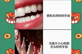 每日一笑 来看看今天的沙雕图视频封面