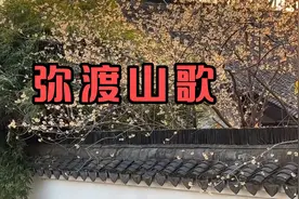 著名女歌唱家演唱的《弥渡山歌》甜美醉人，欢快的旋律，令人陶醉