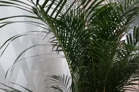 南阳市图书馆：南阳籍院士视频封面