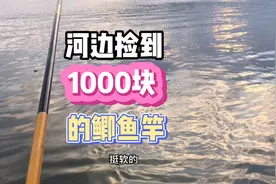 今天去找钓位捡到一根鱼竿进口鱼竿明天试下性能视频封面