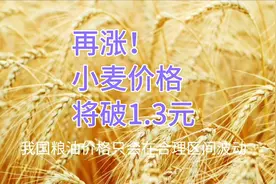 收割过半，小麦价格再涨，收购价将破1.3元！会在1.35-1.40间波动