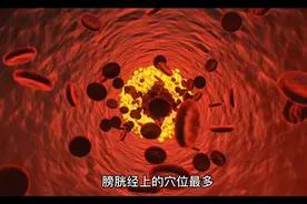 膀胱经的功能与作用以及膀胱经不通的症状视频封面