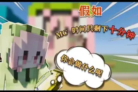我的世界剩十分钟，你会干什么