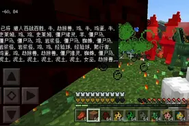 我的世界
新手必备的五条指令
 (指令在评论区了)