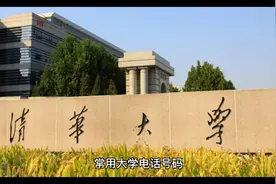 全国公众号码大全视频封面