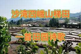 沙湾四峨山梯田，一首田园诗歌视频封面