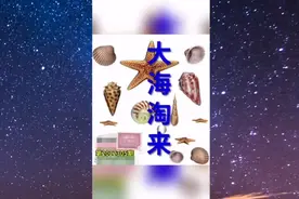 2022305期三D图谜