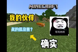 我的世界：实测“我的伙伴”，真的像玩家们说的很没用吗？