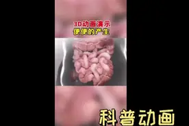 大便💩产生的动画演示
