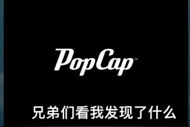 苹果版PvZ一下载加教程