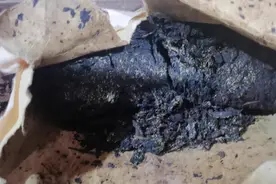 你喝过这种茶里面有金色粉粉的金花茶吗？视频封面
