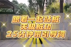 再发一个25分钟，入门级的站桩。无极桩功，带引导词视频封面