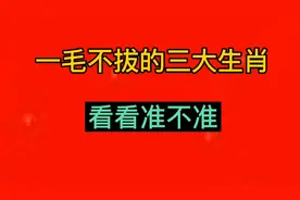 一毛不拔的三大生肖，看看准不准！视频封面