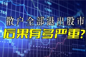 如果散户全部退出股市，会引发什么样的后果？