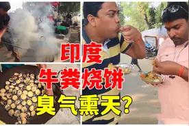 印度牛粪烧饼，又臭又好吃还非常咸，配菜全部都做成了糊糊视频封面