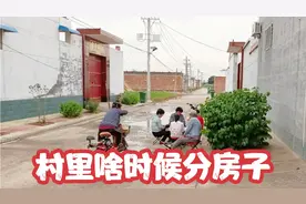 具备这4个条件，咱村也能分房子，还是独院那种视频封面