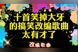 十首笑掉大牙的搞笑改编歌曲太有才了，谁编的也太好听了。