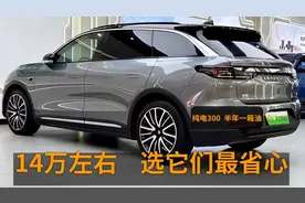 14万左右，选它们稳了，纯电300公里+8295芯片，一箱油跑半年视频封面