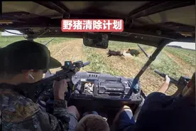 国外清除泛滥成灾的野猪，利用热成像技术辅助，狩猎相当顺利！视频封面