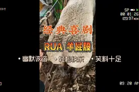 Rua 羊屁股