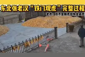 东北张老汉“铁门观虎”完整过程，老虎：我不是假虎但你是真虎视频封面