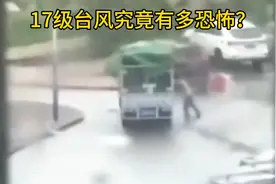 17级台风究竟有多恐怖？#台风 #台风破坏力 #台风杜苏芮