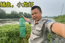 西娃子一晚上抓蜈蚣，黄鳝鱼，小龙虾，收入达到了400多太厉害了视频封面
