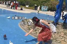 阳光 沙滩 大海和海鸥 ，北戴河鸽子窝不一样的温柔与浪漫