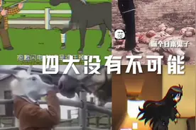 搞笑四格漫画，轻松一刻，笑翻天！