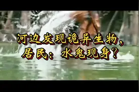 河边发现诡异生物，居民：水鬼现身？视频封面