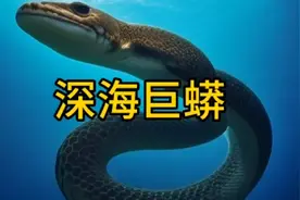 海洋巨蟒真是存在吗视频封面
