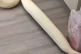 没见过大蛇屙屎视频封面