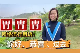 “胃胄冑”分不清？网络流行用语：你好、恭喜、过去、独身视频封面