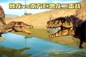 南方巨兽龙荒原大战棘背龙，复仇之战，能否一雪前耻呢？