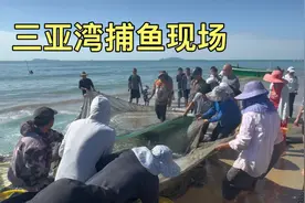 实拍三亚湾捕鱼现场，众多游客围观，一网这么多渔民直呼发财了！视频封面