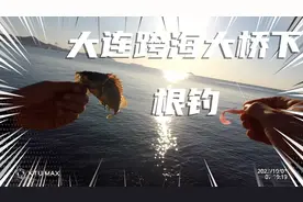 大连跨海大桥下；休闲小根钓。没有快进，来个沉浸式钓鱼体验。