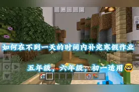 如何在不到一天的时间内补完寒假作业（五年级六年级初一适用🤓）