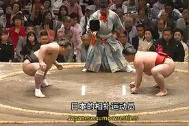 日本相扑运动员，竟然不洗自己的兜裆布？原因让人吃惊！ #相扑