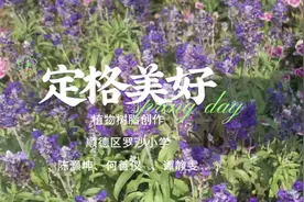 一群小学生把永生花玩出新花样～用树脂定格大自然的美～视频封面