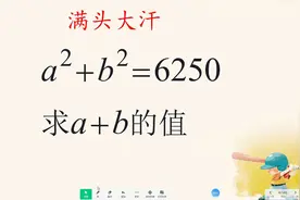 数学难题挑战：求a+b的值！